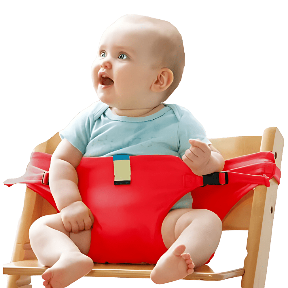 Adjustable Portable High Chair