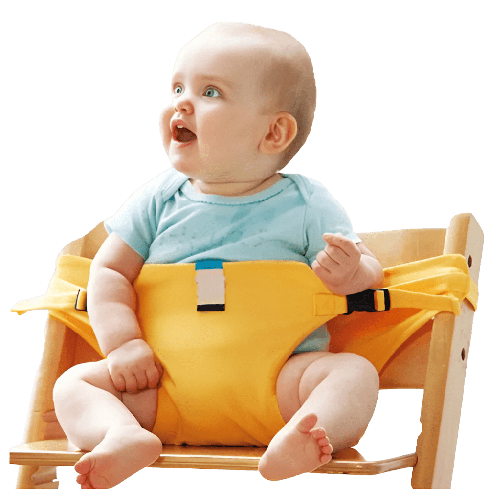 Adjustable Portable High Chair