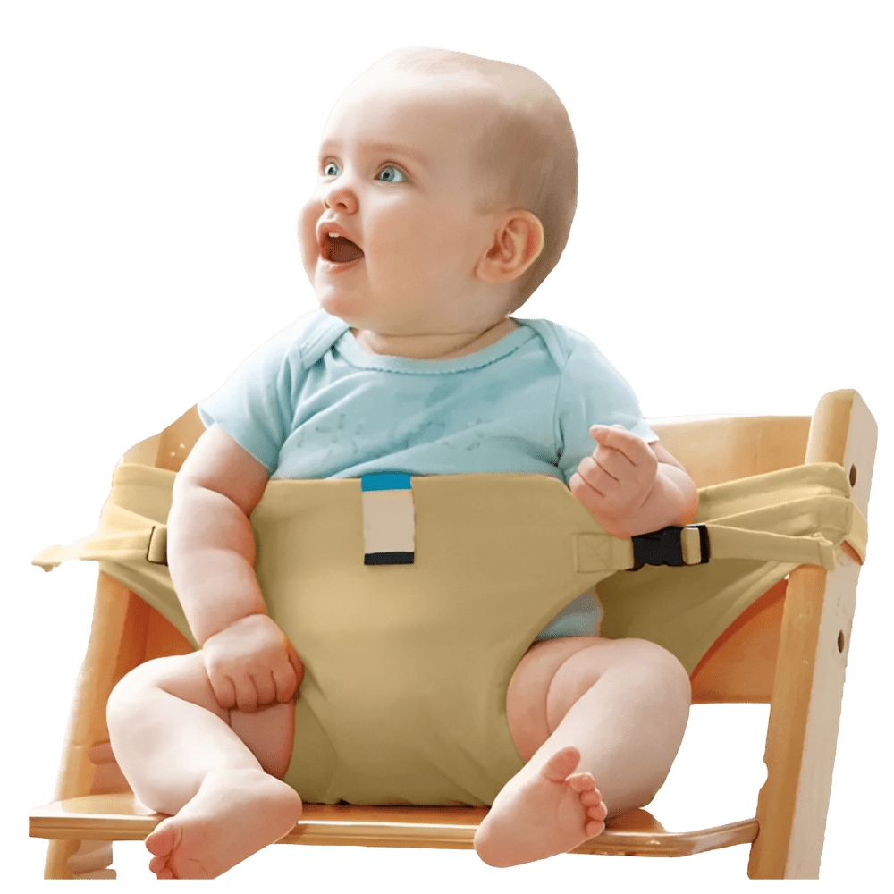 Adjustable Portable High Chair